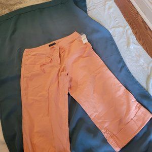 New York and Company